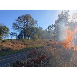 Número de incêndios em vegetação aumenta e Via Araucária trabalha em combate e conscientização